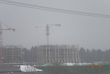 рои.jpg