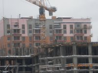 DSCN1533.JPG