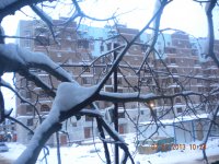DSCN1537.JPG