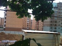 WP_000879.jpg