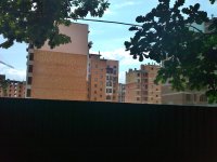 WP_000877.jpg