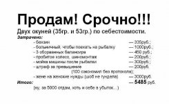 окунь.jpeg