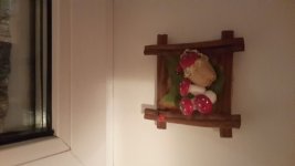 20150109_194238.jpg