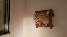 20150109_194249.jpg