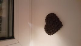 20150109_194406.jpg