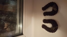 20150109_194601.jpg