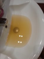 20151113_155255.jpg