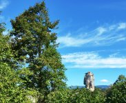 20150827_093954.jpg