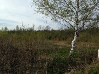 IMG_0015.JPG