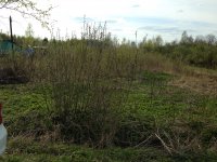 IMG_0026.JPG