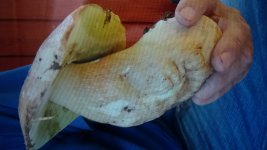20160830_084358.jpg