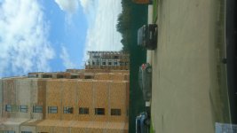 DSC_0921.JPG