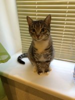 IMG-20160706-WA0000.jpg