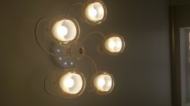 DSC_5672.JPG