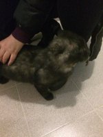 IMG-20170402-WA0001.jpg