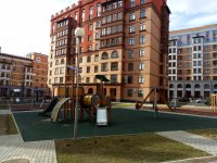 IMG_20170420_153524.jpg