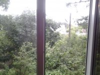 20170709_143014.jpg