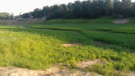 IMG-20170726-WA0007.jpg
