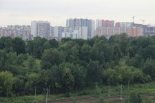 IMG_4145.JPG