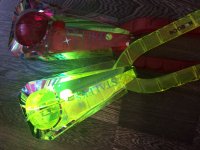IMG_5981.JPG