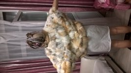 WP_20180825_21_41_22_Pro.jpg