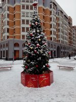 IMG_20181219_143629.jpg