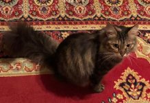 IMG-20190831-WA0000.jpg