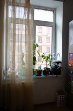 IMG_1326.jpg