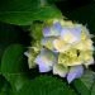 ismail107@rambler.ru